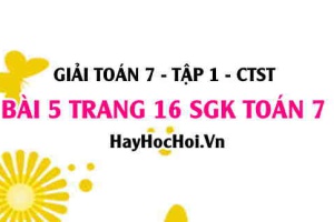 Giải bài 5 trang 16 Toán 7 Tập 1 SGK Chân trời sáng tạo